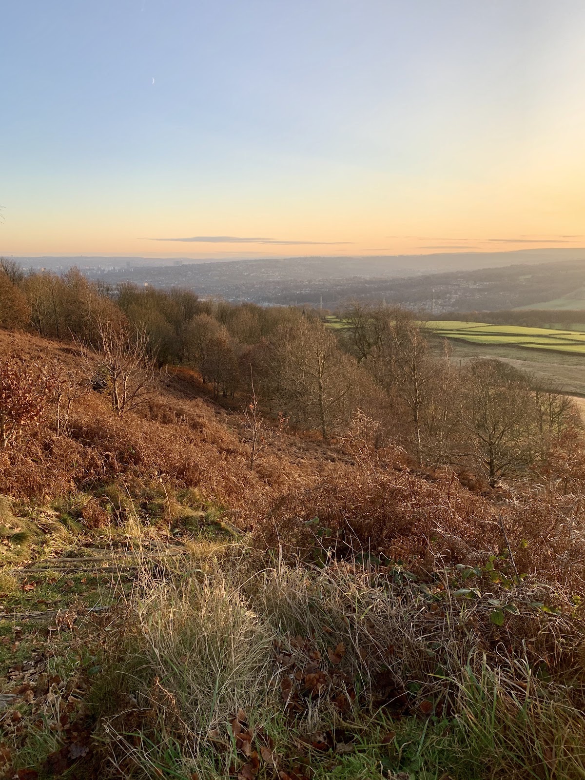 Birley Stone