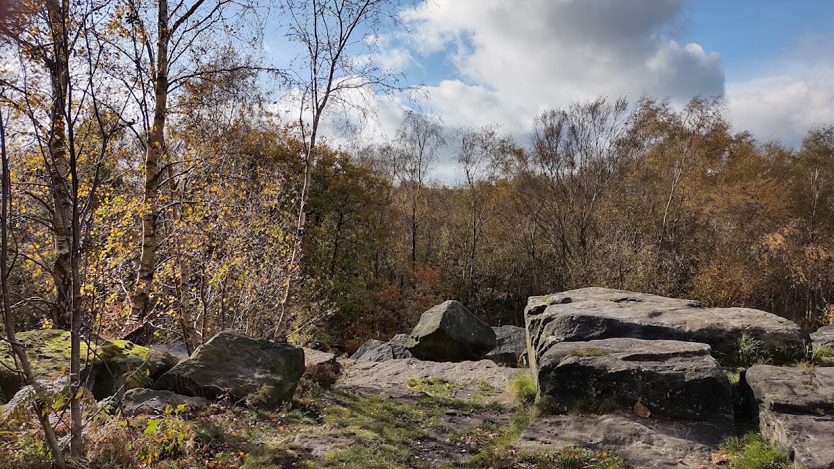 Loxley & Wadsley Common