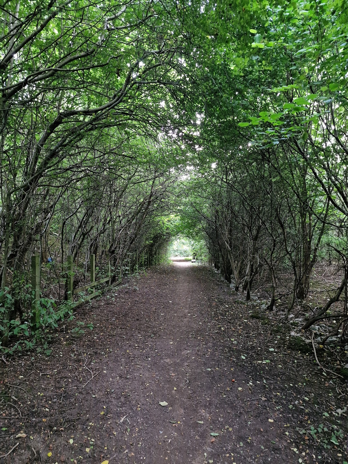 Shire Brook Valley Nature Reserve